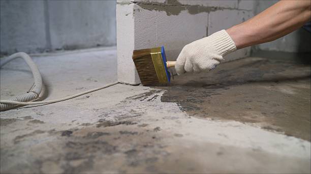 SJ Waterproofing Pros Waterproofing coverage map for Buffalo, MN and surrounding area